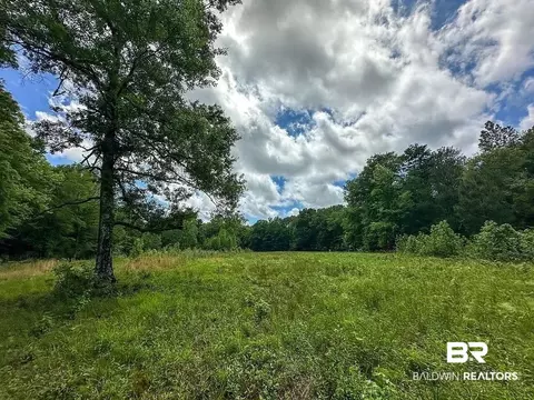 0 Loree Rd, Evergreen, AL 36401 photo 7