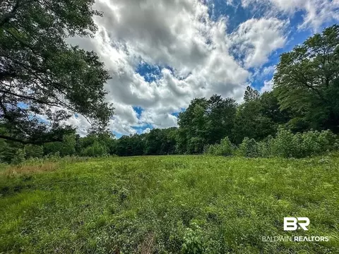 0 Loree Rd, Evergreen, AL 36401 photo 8