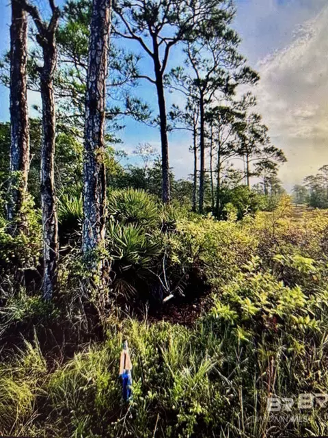 0 Gulf Crest Dr, Gulf Shores, AL 36542