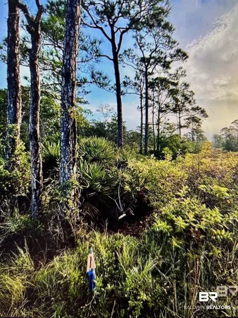 0 Gulf Crest Dr, Gulf Shores, AL 36542