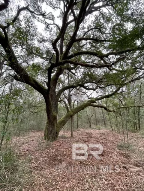 9847 S County Road 99, Lillian, AL 36549