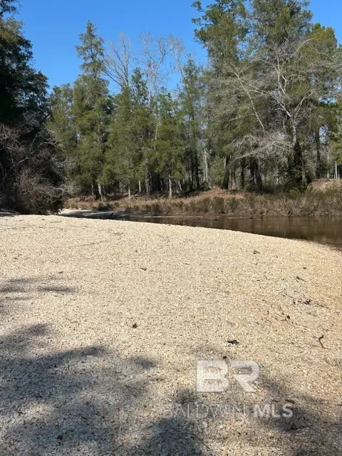 0 Wolf Log Rd, Flomaton, AL 36441 photo 2