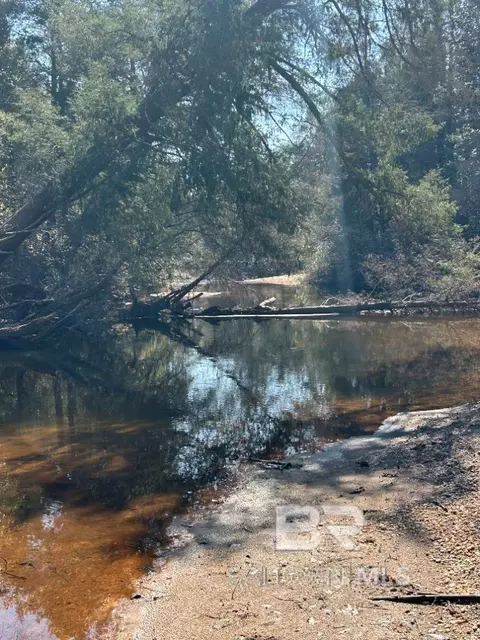0 Wolf Log Rd, Flomaton, AL 36441