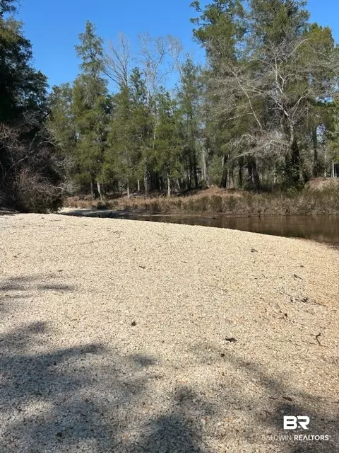 0 Wolf Log Rd, Flomaton, AL 36441 photo 2