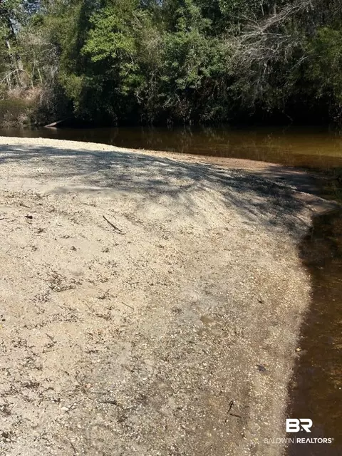 0 Wolf Log Rd, Flomaton, AL 36441 photo 3