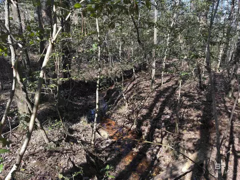 Other - 2006 Evergreen Rd, Jackson, AL 36545 photo 23 of 26