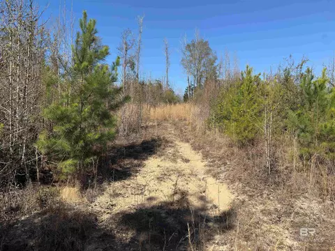 Other - 2006 Evergreen Rd, Jackson, AL 36545 photo 24 of 26