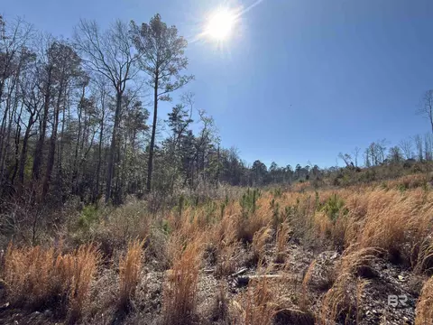 Other - 2006 Evergreen Rd, Jackson, AL 36545 photo 22 of 26