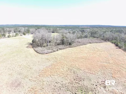 Other - 2006 Evergreen Rd, Jackson, AL 36545 photo 21 of 22