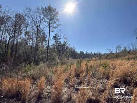 Other - 2006 Evergreen Rd, Jackson, AL 36545 photo 16 of 20