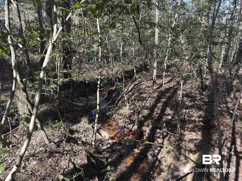 Other - 2006 Evergreen Rd, Jackson, AL 36545 photo 17 of 20