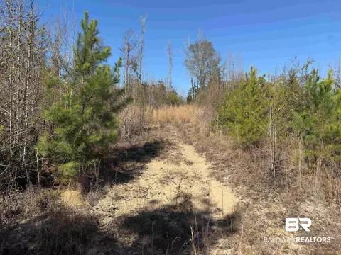 Other - 2006 Evergreen Rd, Jackson, AL 36545 photo 20 of 22