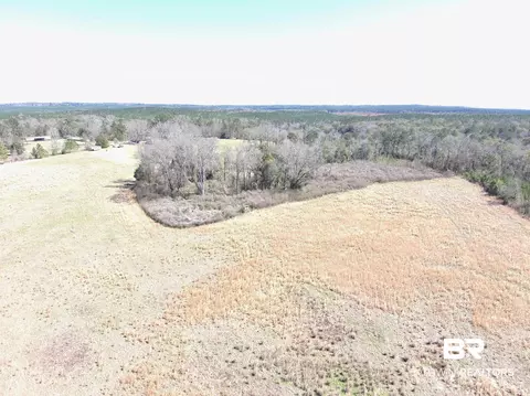 Other - 2006 Evergreen Rd, Jackson, AL 36545 photo 19 of 20