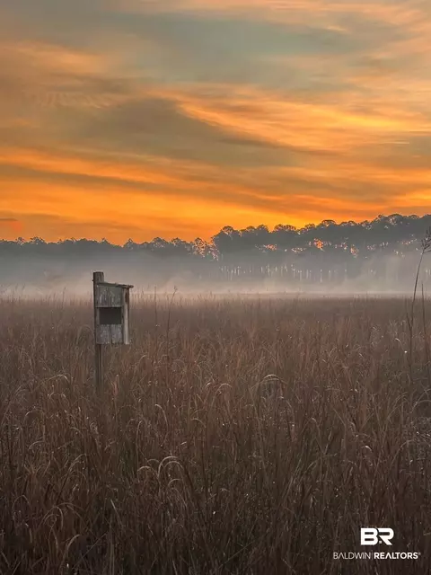 Other - 15025 Bellingrath Rd, Coden, AL 36523 photo 18 of 20