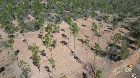 0 Archie Rd, Elberta, AL 36530
