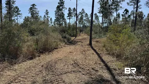 0 Archie Rd, Elberta, AL 36530 photo 7