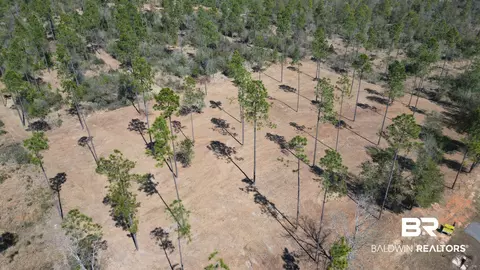 0 Archie Rd, Elberta, AL 36530 photo 1