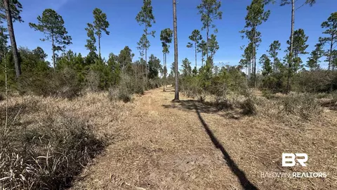 0 Archie Rd, Elberta, AL 36530 photo 6