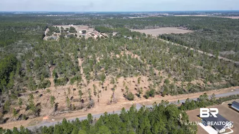 0 Archie Rd, Elberta, AL 36530 photo 11