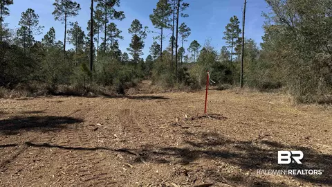 0 Archie Rd, Elberta, AL 36530 photo 14