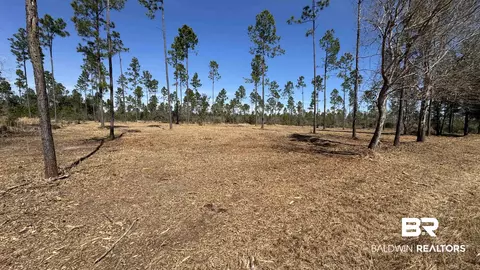 0 Archie Rd, Elberta, AL 36530 photo 9