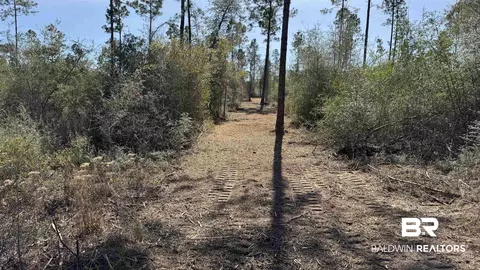 0 Archie Rd, Elberta, AL 36530 photo 8