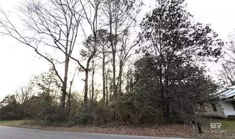 Lt 11 Blk 3 Martin Luther King Drive, Brewton, AL 36427