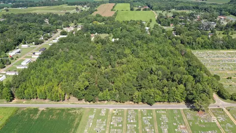 lot4 A Johnson Rd, Atmore, AL 36502 photo 7