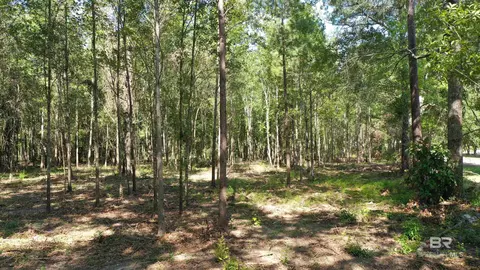 lot4 A Johnson Rd, Atmore, AL 36502 photo 4