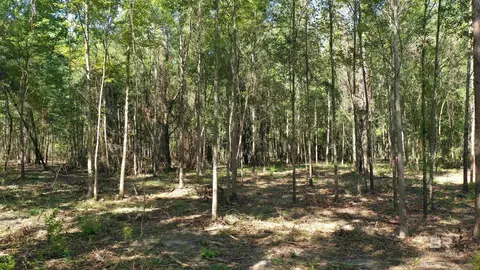 lot4 A Johnson Rd, Atmore, AL 36502 photo 3
