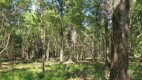 lot4 A Johnson Rd, Atmore, AL 36502 photo 2