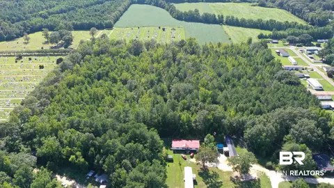 lot4 A Johnson Rd, Atmore, AL 36502 photo 9