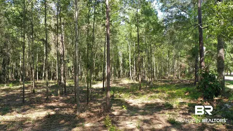 lot4 A Johnson Rd, Atmore, AL 36502 photo 4