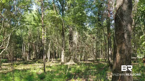 lot4 A Johnson Rd, Atmore, AL 36502 photo 2