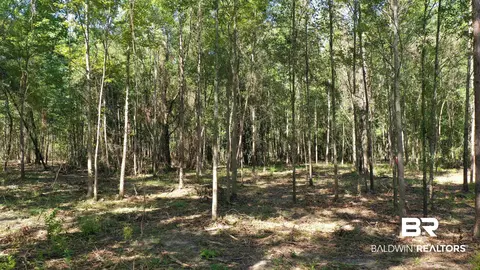 lot4 A Johnson Rd, Atmore, AL 36502 photo 3