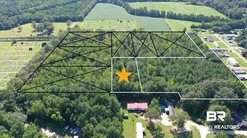 lot4 A Johnson Rd, Atmore, AL 36502 photo 6