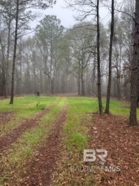 0 W Eastward Rd, Jackson, AL 36545