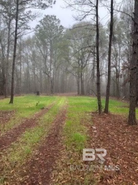 0 W Eastward Rd, Jackson, AL 36545