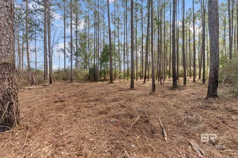 lot Apt 10 Bermuda Ln, Seminole, AL 36574