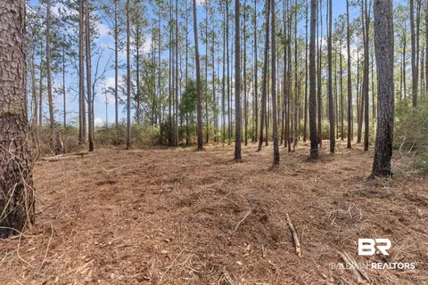 lot Apt 10 Bermuda Ln, Seminole, AL 36574