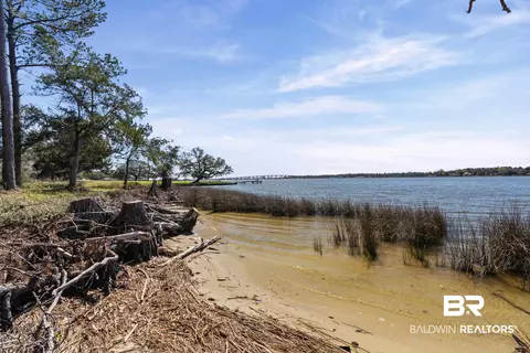 River Forest Drive, Mobile, AL 36605 photo 6