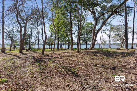 River Forest Drive, Mobile, AL 36605 photo 11