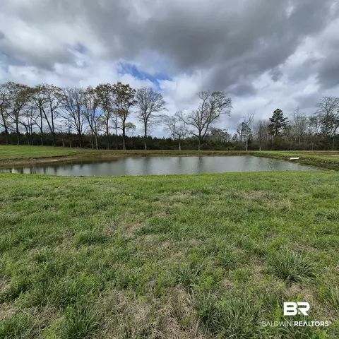 26635 Highway 41, Range, AL 36473 photo 57