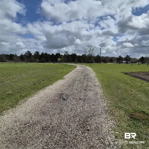 26635 Highway 41, Range, AL 36473 photo 72