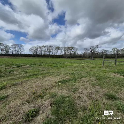 26635 Highway 41, Range, AL 36473 photo 66