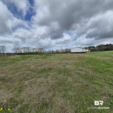 26635 Highway 41, Range, AL 36473 photo 65