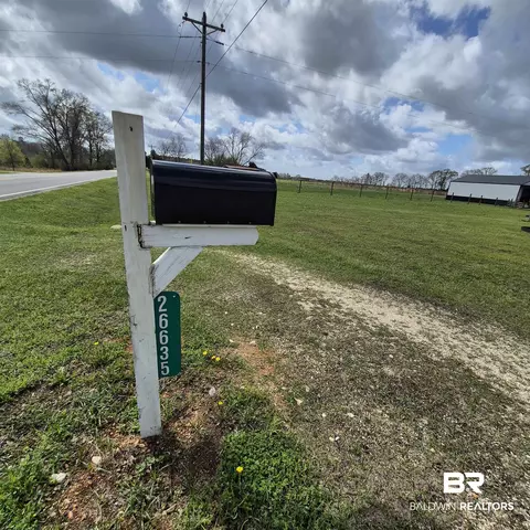 26635 Highway 41, Range, AL 36473 photo 74
