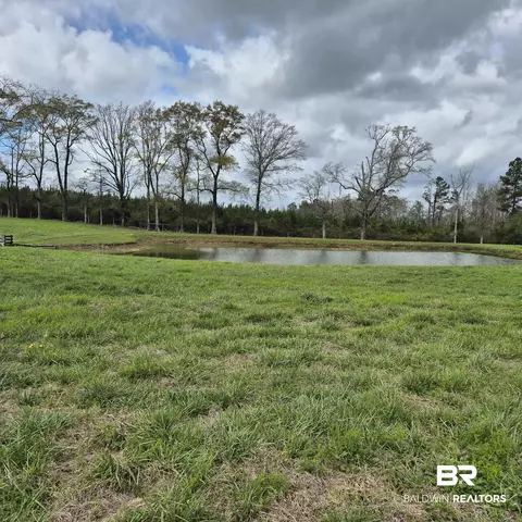 26635 Highway 41, Range, AL 36473 photo 55