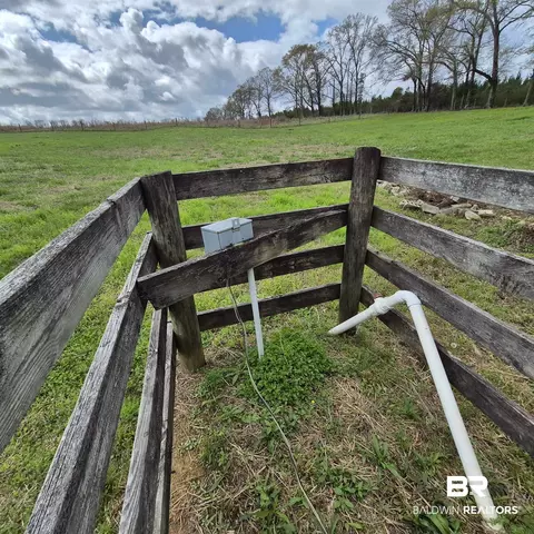 26635 Highway 41, Range, AL 36473 photo 59