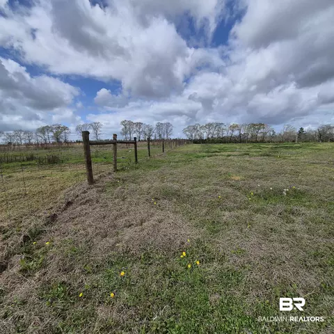 26635 Highway 41, Range, AL 36473 photo 64